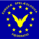 FSE logo